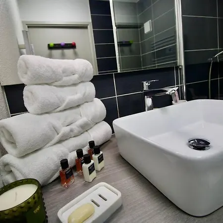 *t2*vue Garonne*piscine*garage* Tuluza